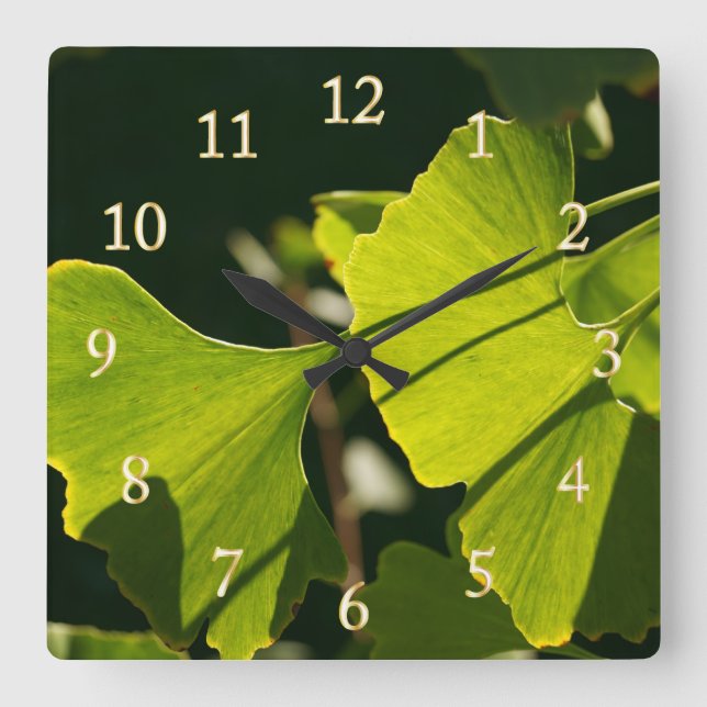Summer Ginkgo Leaves Square Wall Clock (Front)