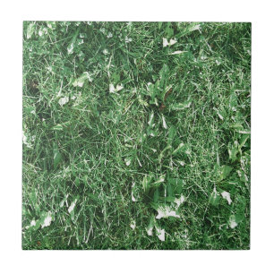 Summer Grass Ceramic Tile