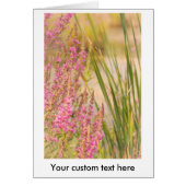 Summer Grasses and Flowers (Front)