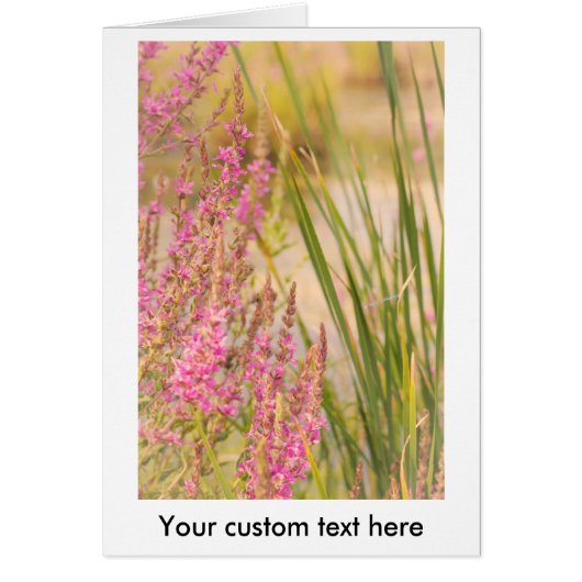 Summer Grasses and Flowers Cards (Front)