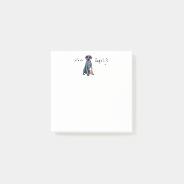 Summer Great Dane Post-it Notes (Front)