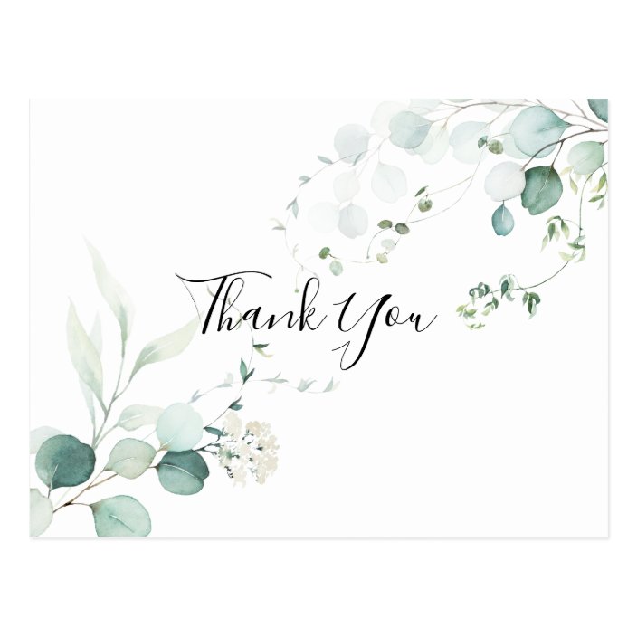 Summer Green Eucalyptus Foliage Thank You Postcard | Zazzle.com