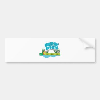 Summer Has Arrived Bumper Sticker by Windmilldesigns at Zazzle