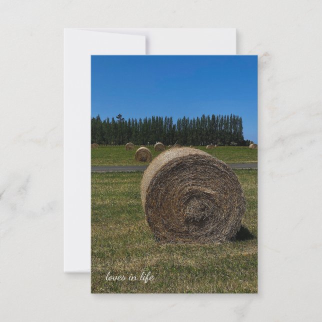 Summer Hay Bales Note Card (Front)
