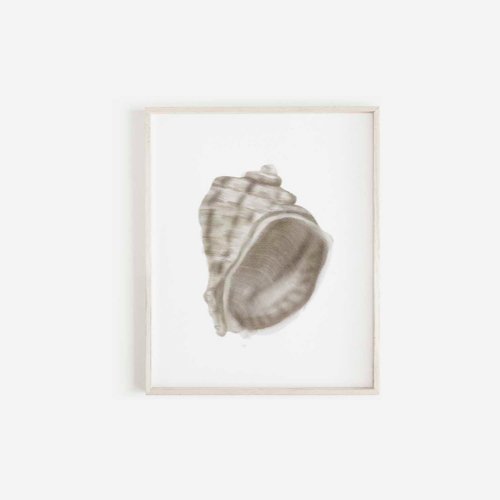 summer home decor seashell print