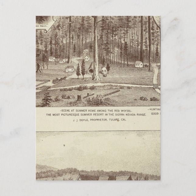 Summer Home, Lewis residence Postcard (Front)