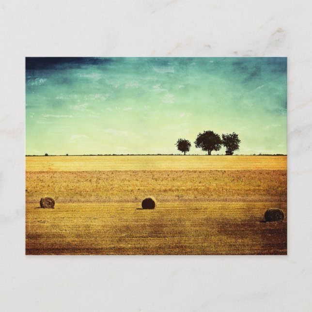 Summer Hour Postcard (Front)