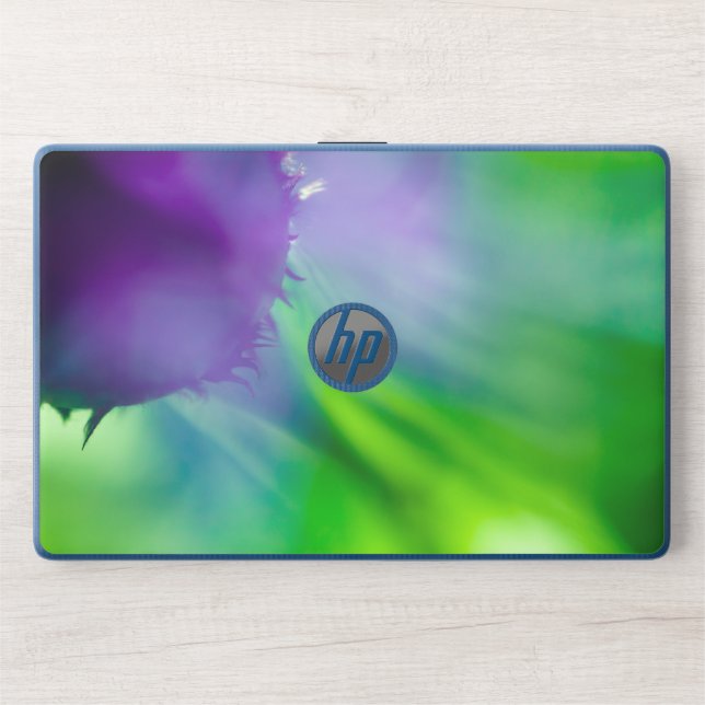  summer HP laptop skin (Front)