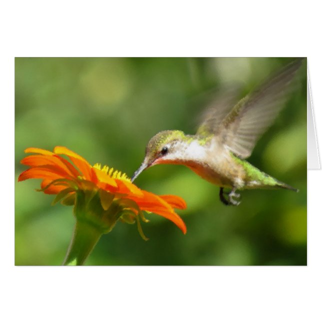 Summer Hummer Cards (Front Horizontal)
