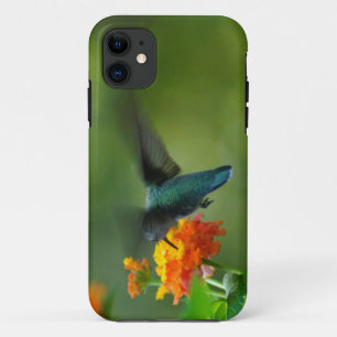Summer Hummer! iPhone 11 Case