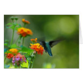 Summer Hummer Faith (Front Horizontal)
