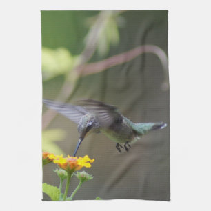 Summer Hummer! Kitchen Towel