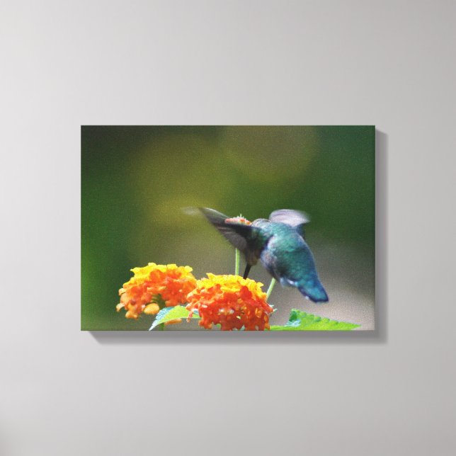 Summer Humming Canvas Print (Front)