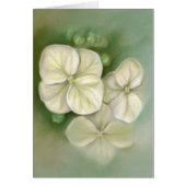 Summer Hydrangea Blossoms Pastel (Front)