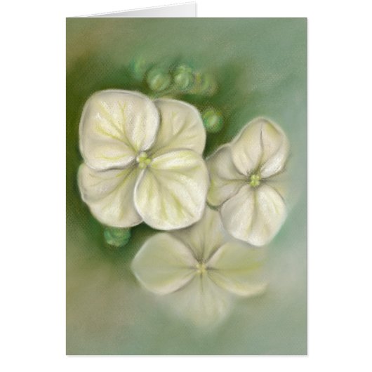 Summer Hydrangea Blossoms Pastel (Front)