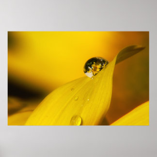 Summer in a drop II. Poster