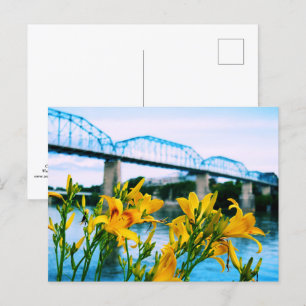 Summer in Chattanooga, TN - Walnut Street Bridge Postcard