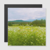 Summer in Hälsingland - Helsingia (Front/Back)