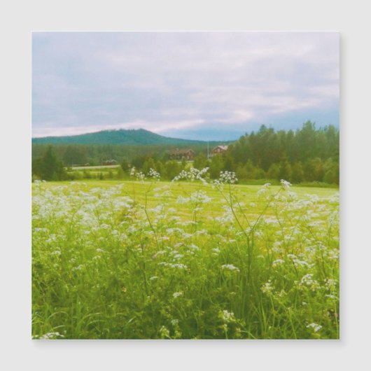 Summer in Hälsingland - Helsingia (Front)