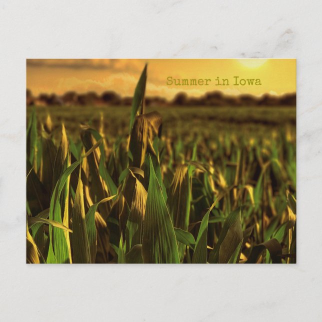 Summer in Iowa Postcard (Front)