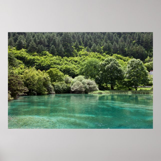 Summer in Jiuzhaigou Valley Poster (Front)
