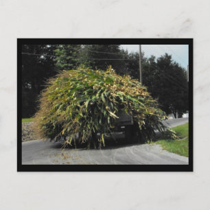 ~ Summer in Lancaster County ~ 56 Postcard