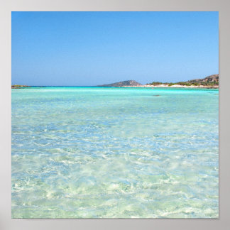 Summer in Paradise Poster