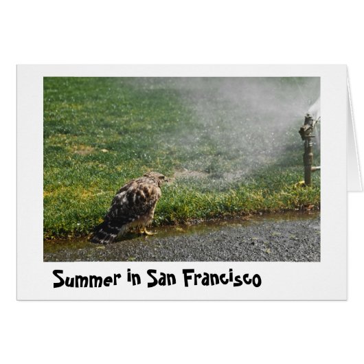 Summer in the city cards (Front Horizontal)