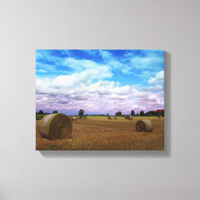 Summer in the Country Canvas Print (Front)