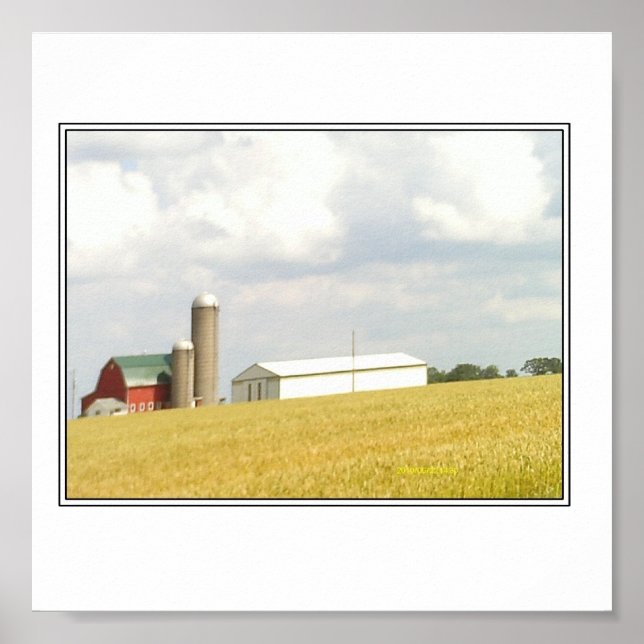 Summer in the Country Poster (Front)