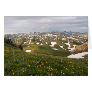 Summer in the San Juans Cards