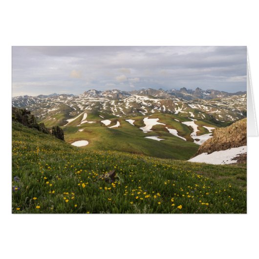 Summer in the San Juans Cards (Front Horizontal)