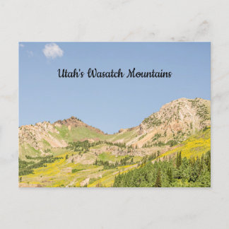 Summer in the Wasatch Mountains Postcard