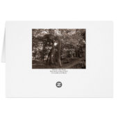 Summer in the Woods - Warm Toned (Back Horizontal)