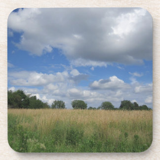 Summer Iowa Prairie Beverage Coaster