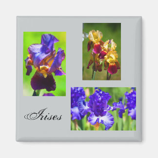 Summer Iris Magnet