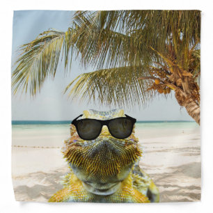 Summer is Coming Bandana