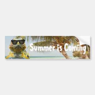 Summer is Coming Bumper Sticker
