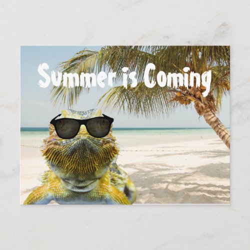 Summer is Coming Postcard