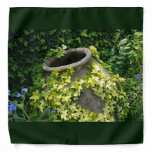 Summer Ivy vine on pottery