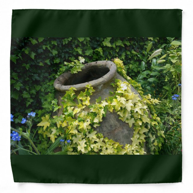 Summer Ivy vine on pottery Bandana (Front)