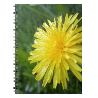 Summer Jewel Notebook