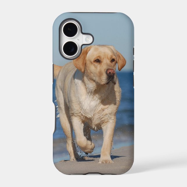 Summer lab iphone case (Back)