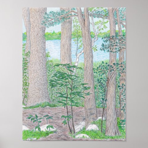 Summer Lake with Woods Colored Pencil Drawing Poster