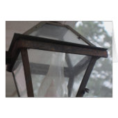 Summer Lamp (Front Horizontal)