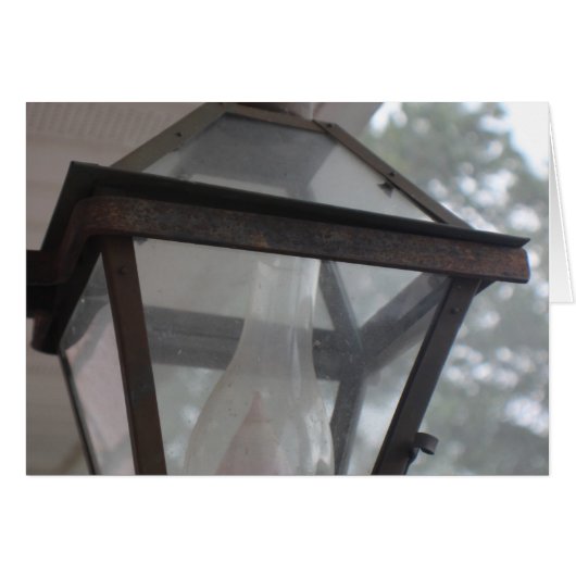 Summer Lamp (Front Horizontal)