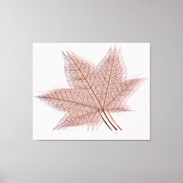 Summer Leaf #2 Canvas Print (Front)