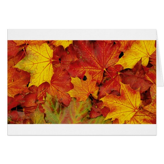 SUMMER LEAVES CARDS (Front Horizontal)