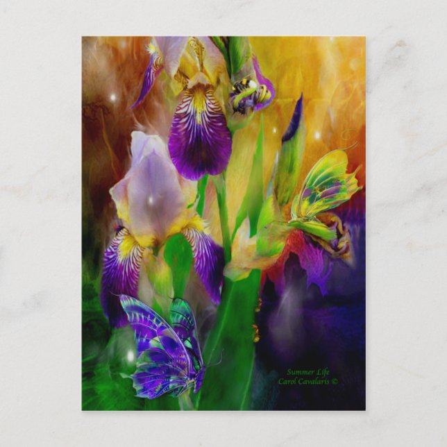 Summer Life Postcard (Front)