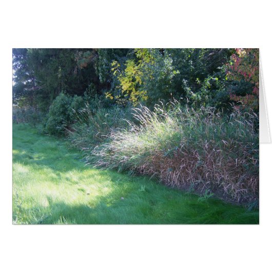 Summer Light Card (Front Horizontal)